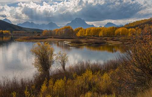 Fall colors at Oxbow Bend